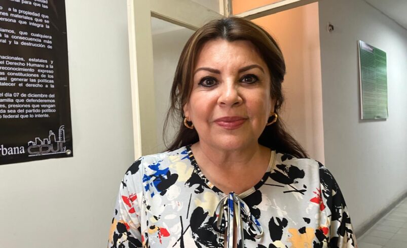 INE pretende sancionar a organismos que den espacio a candidatos del Poder Judicial