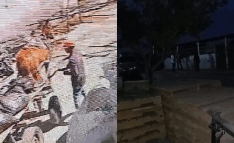 Denuncian casos de maltrato animal; pide Defensoría Animalista ayuda para dar con los responsables