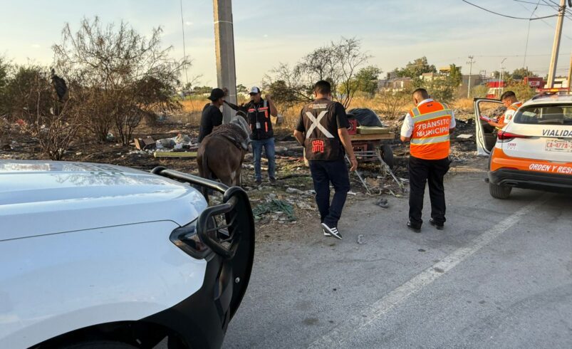 ¡Hasta 11 mil pesos de multa! Endurecen sanciones por tirar basura en sitios no autorizados