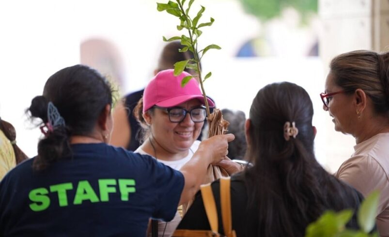 Mérida avanza hacia una ciudad más verde con adopción de 42 mil árboles