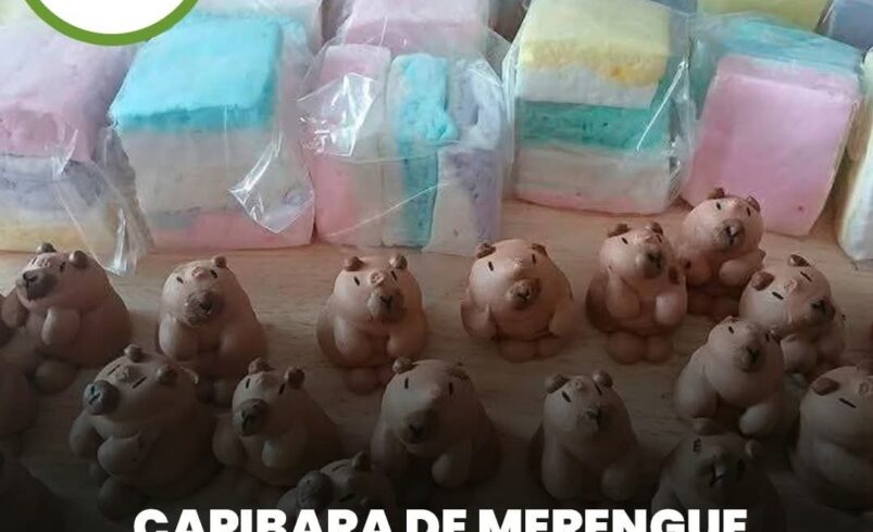 Capibara de merengue conquista las calles de Acanceh