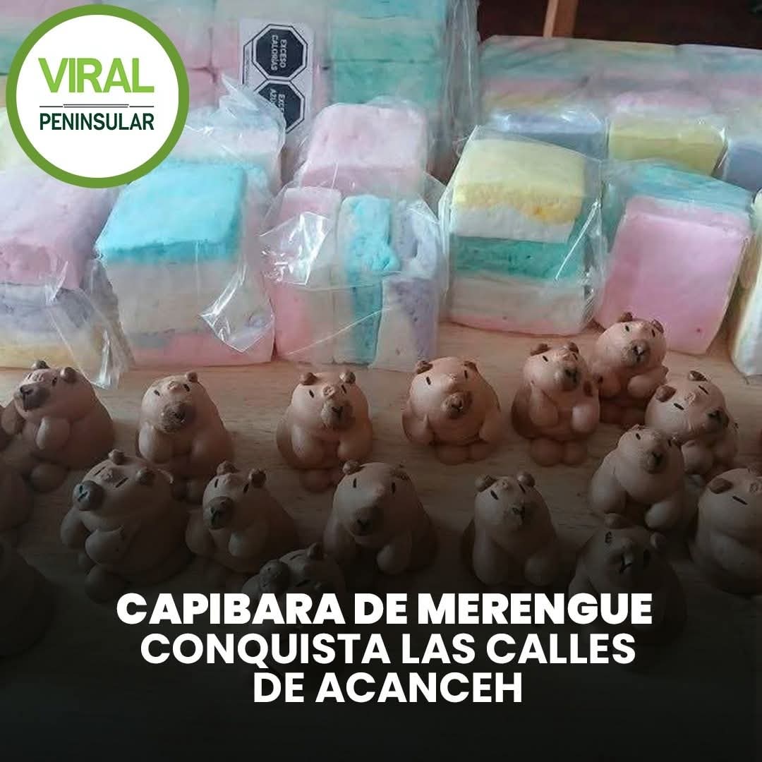 Capibara de merengue conquista las calles de Acanceh