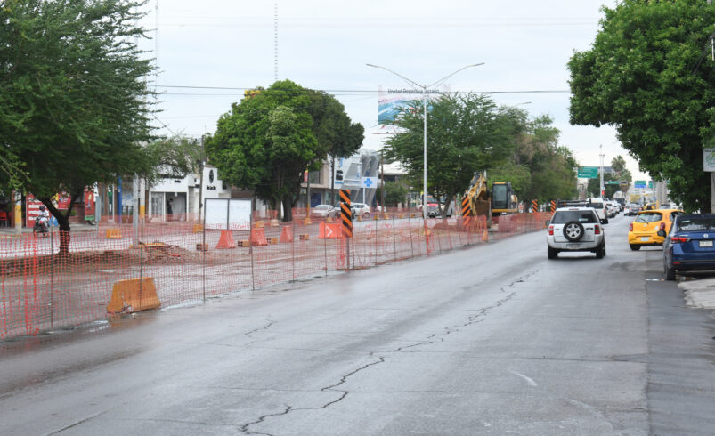 Reiteran que no habrá tala, sino trasplante de árboles en Sistema Vial Abastos-Independencia
