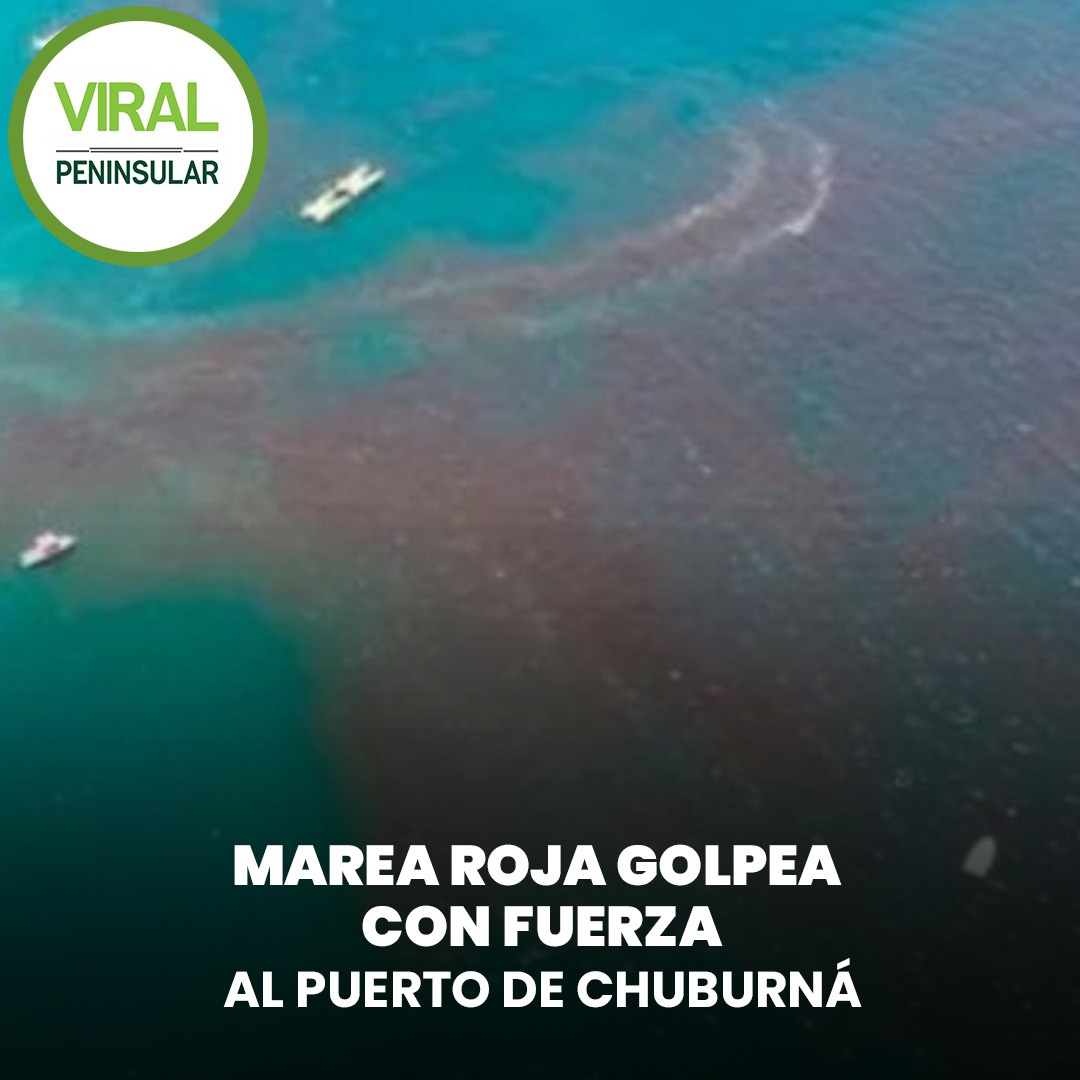 Marea roja golpea con fuerza al puerto de Chuburná