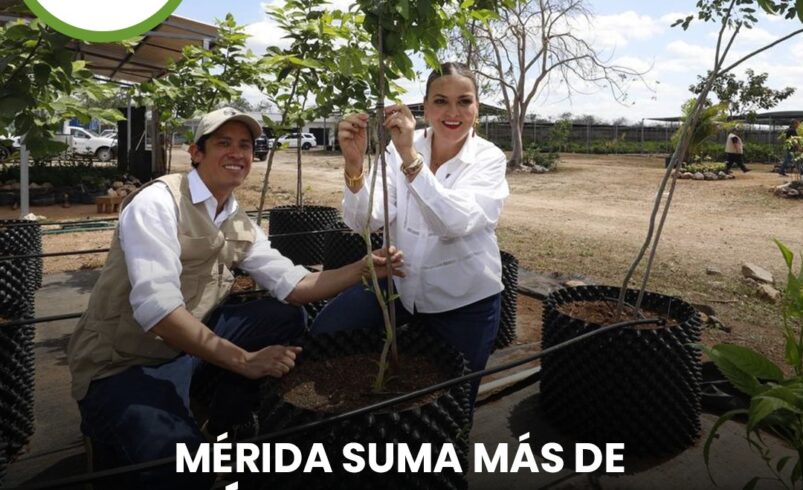 Mérida suma más de 10 mil árboles plantados y 44 mil adoptados