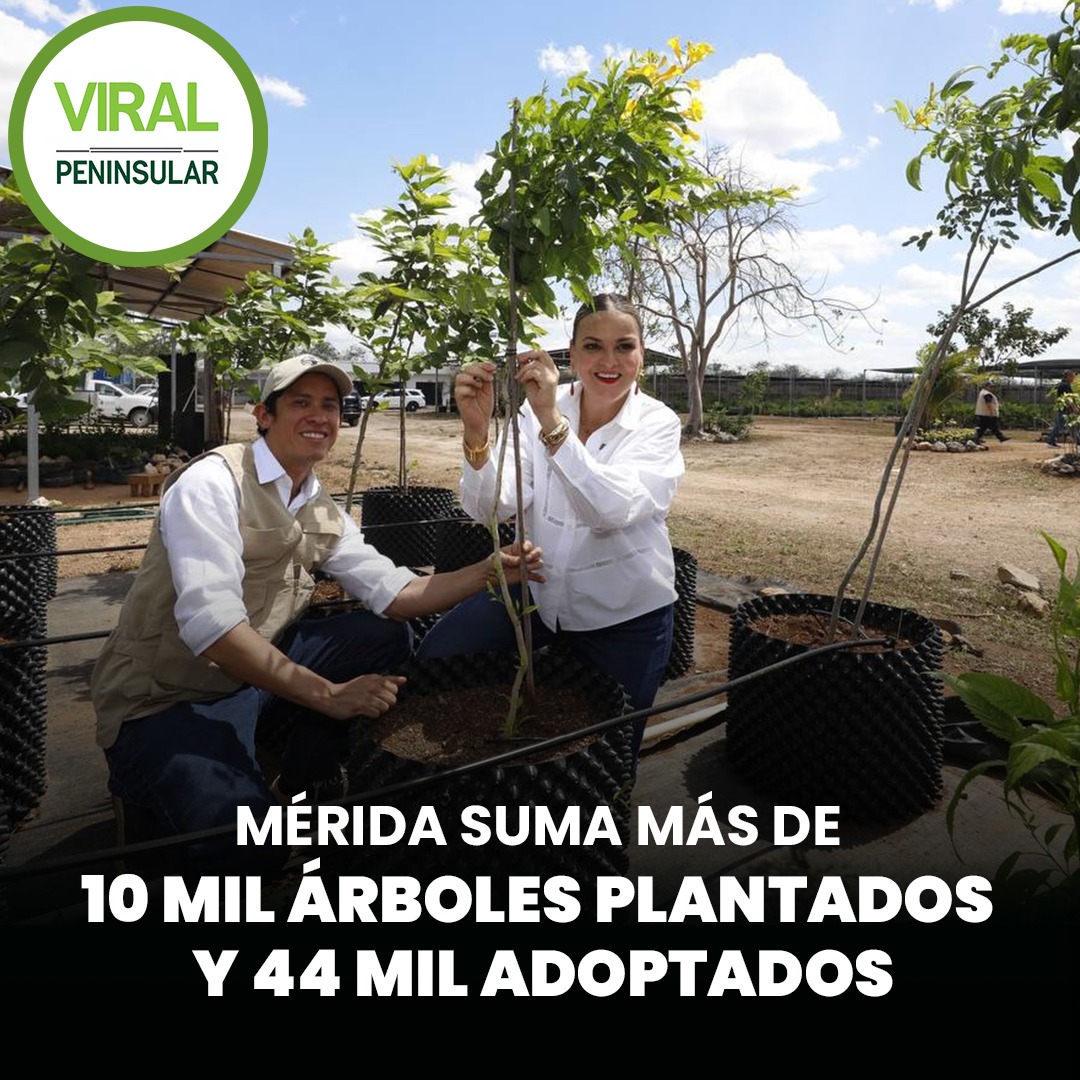 Mérida suma más de 10 mil árboles plantados y 44 mil adoptados
