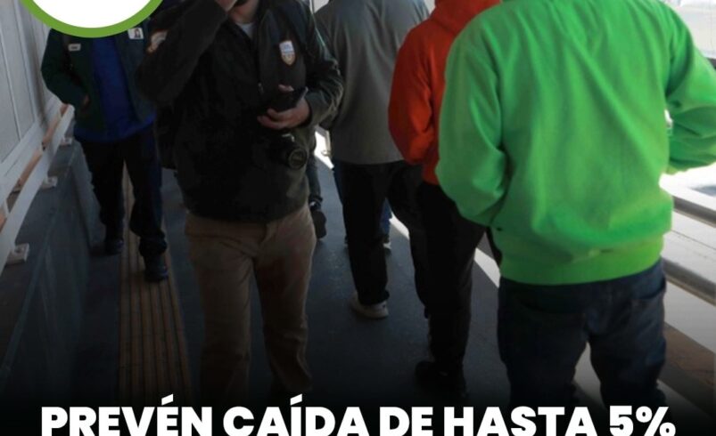 Prevén caída de hasta 5% en remesas de migrantes yucatecos