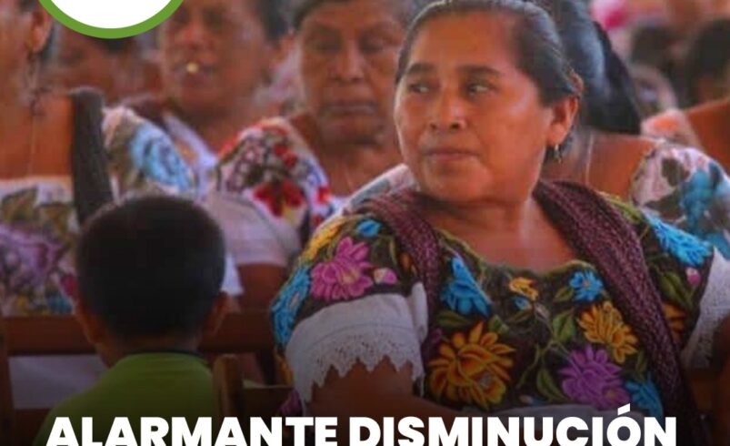 Alarmante disminución de mayahablantes en Yucatán