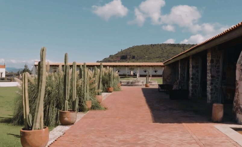 Cecilia Guadiana y Américo Villarreal se casan en lujosa hacienda de Hidalgo