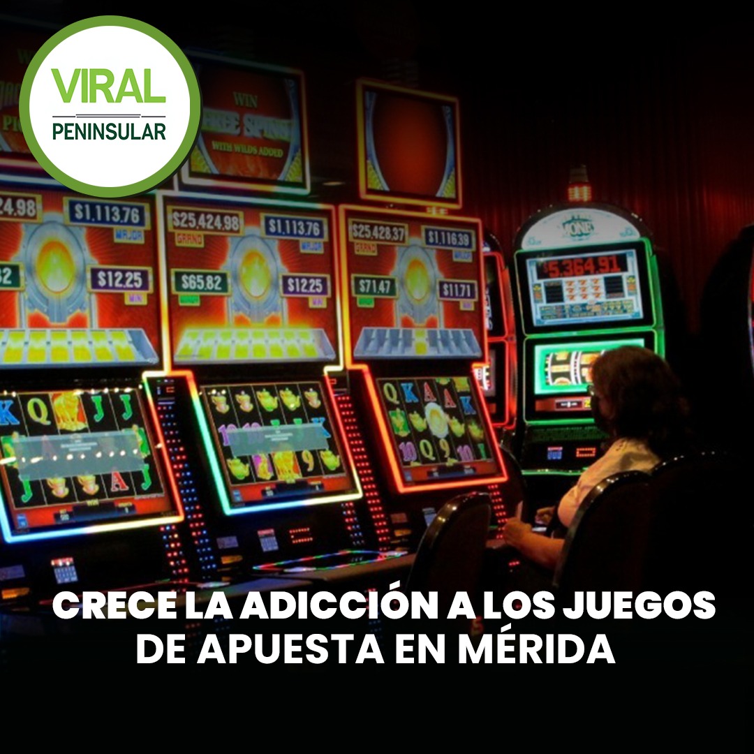 Crece la adicción a los juegos de apuesta en Mérida