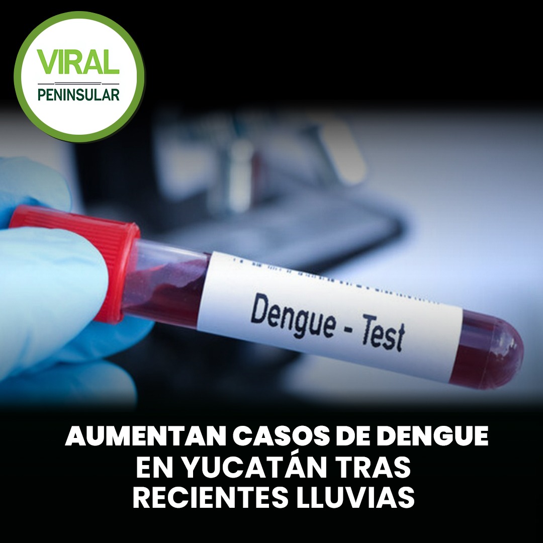 Aumentan casos de dengue en Yucatán tras recientes lluvias