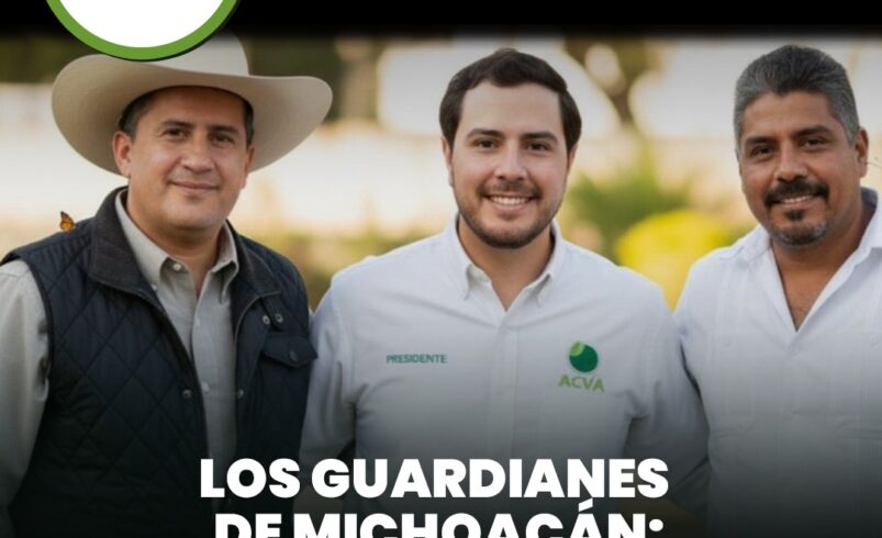 Los Guardianes de Michoacán: voces que fueron silenciadas por defender a su gente