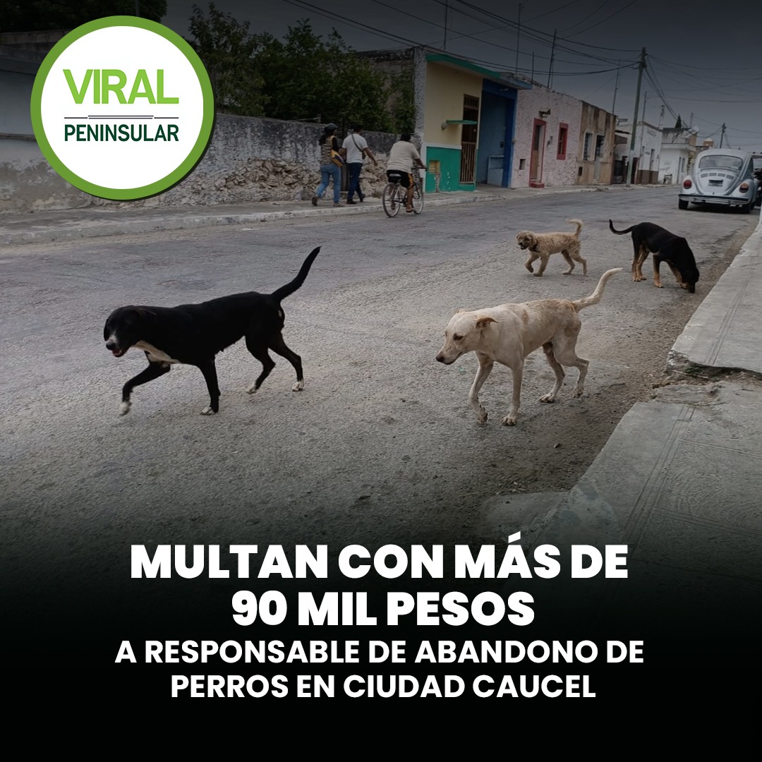 Multan con más de 90 mil pesos a responsable de abandono de perros en Ciudad Caucel