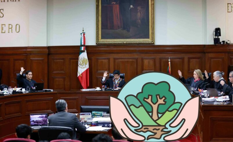 Por mayoría, Corte se pronuncia por no existencia de contradicción que afectaba interés legítimo de asociaciones
