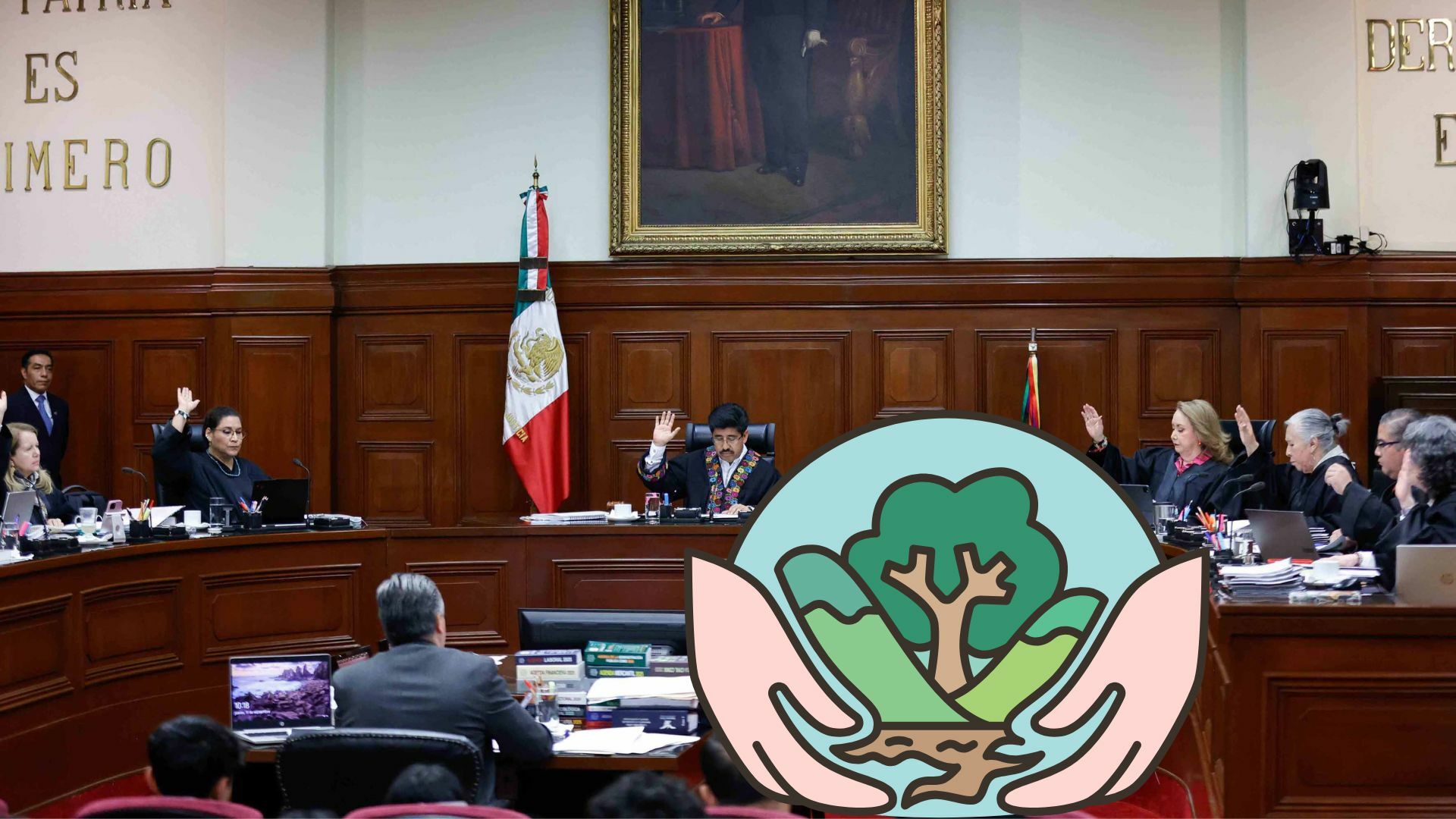 Por mayoría, Corte se pronuncia por no existencia de contradicción que afectaba interés legítimo de asociaciones