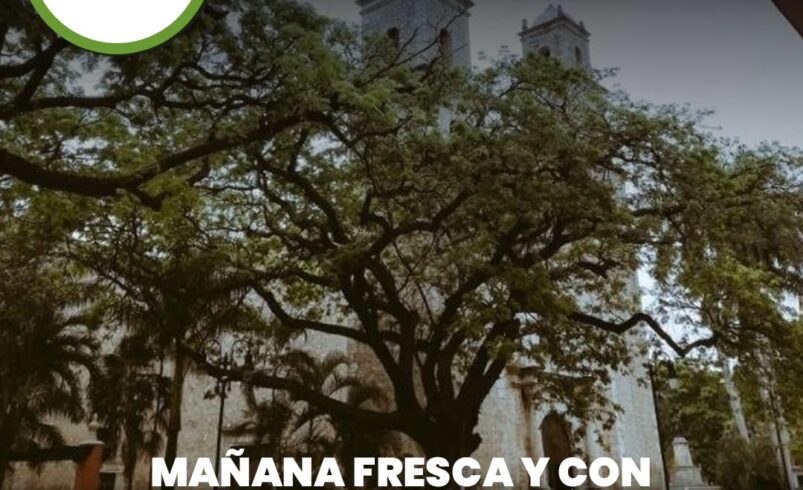 Mañana fresca y con alta humedad en Mérida este 11 de diciembre