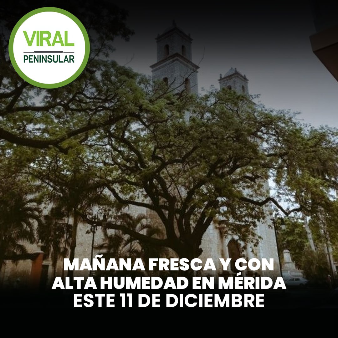 Mañana fresca y con alta humedad en Mérida este 11 de diciembre