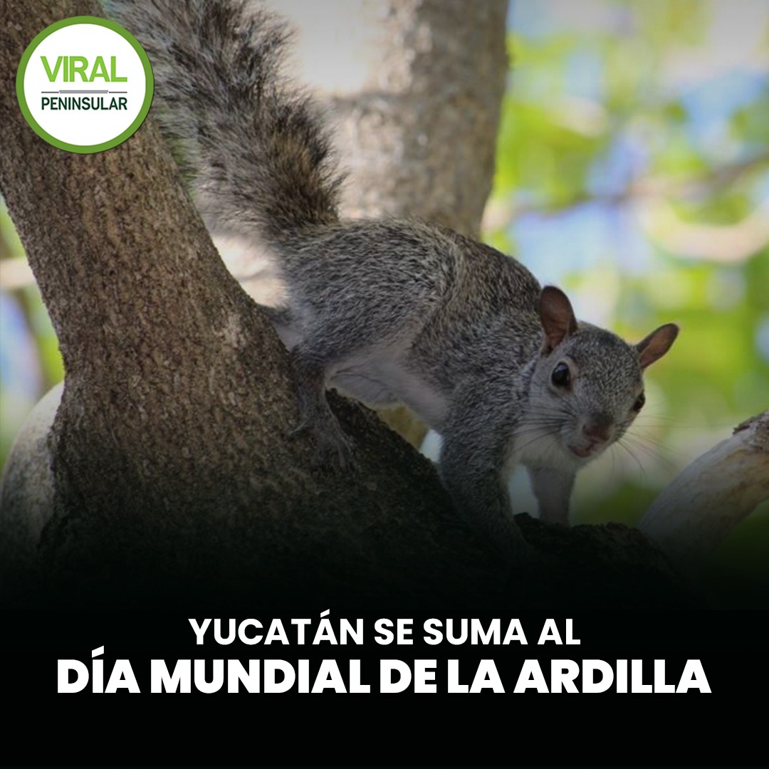 Yucatán se suma al Día Mundial de la Ardilla