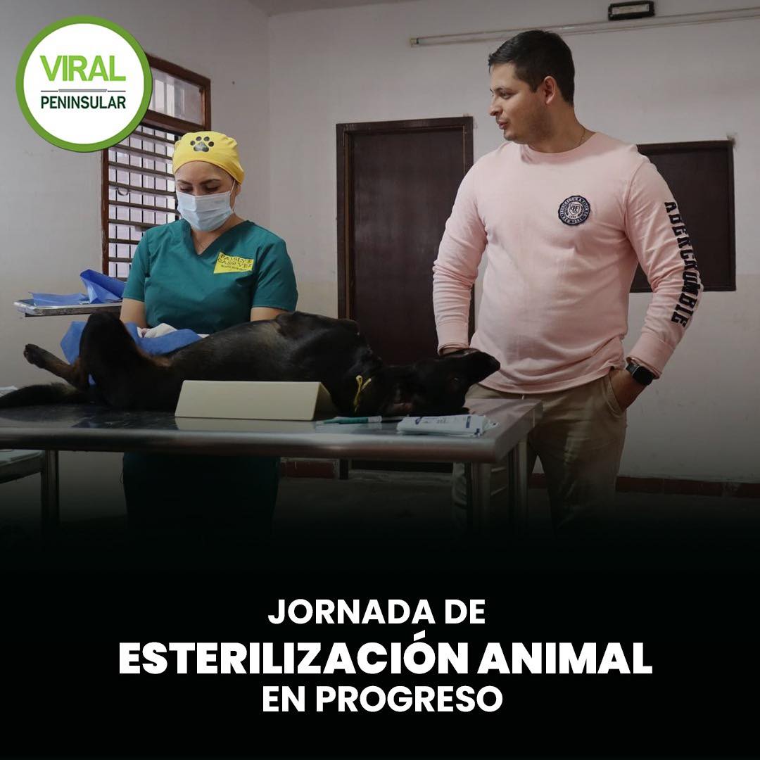 Jornada de esterilización animal en Progreso