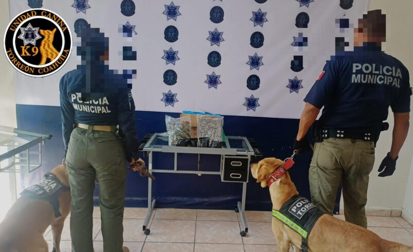 Agentes del K9 aseguran droga en empresa de paquetería en el Centro de Torreón