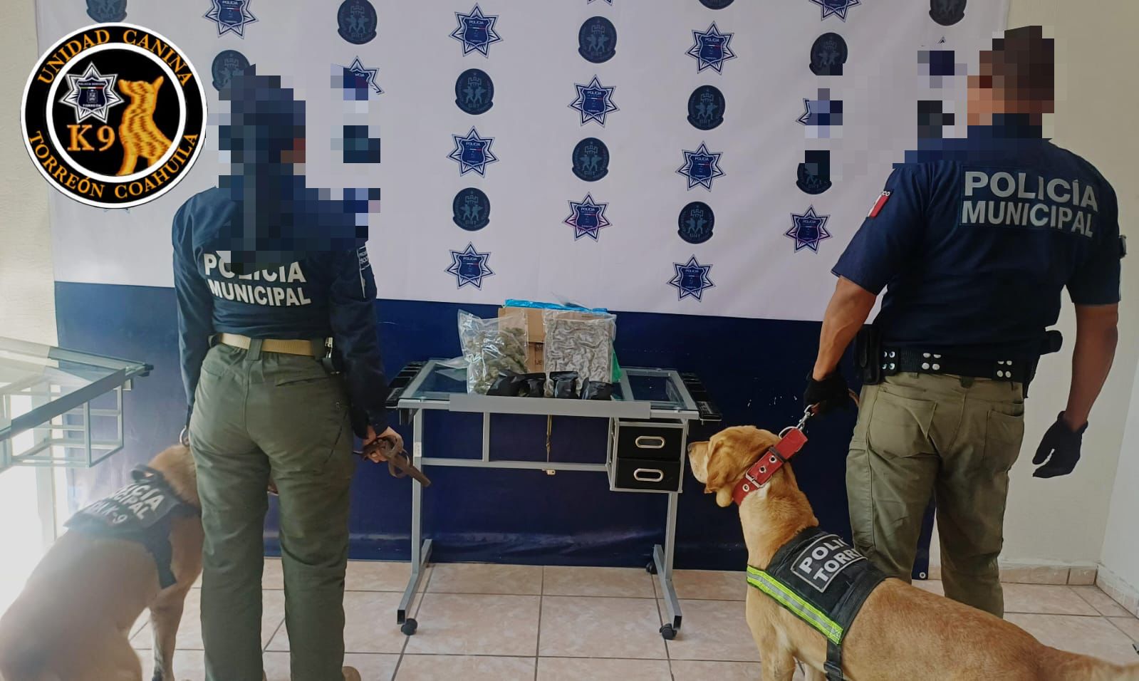 Agentes del K9 aseguran droga en empresa de paquetería en el Centro de Torreón