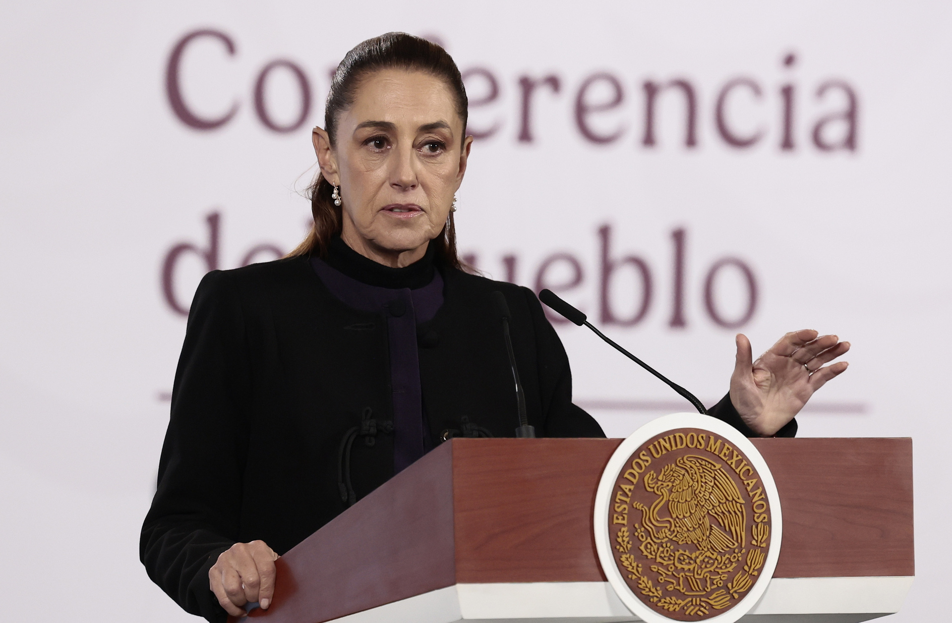 Sheinbaum afina reforma electoral con líderes de Morena y PVEM