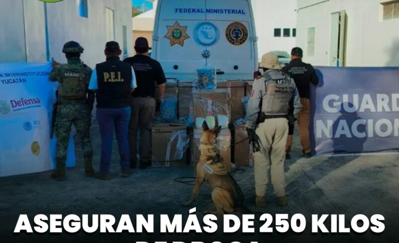 Aseguran más de 250 kilos de droga en retén en Yucatán