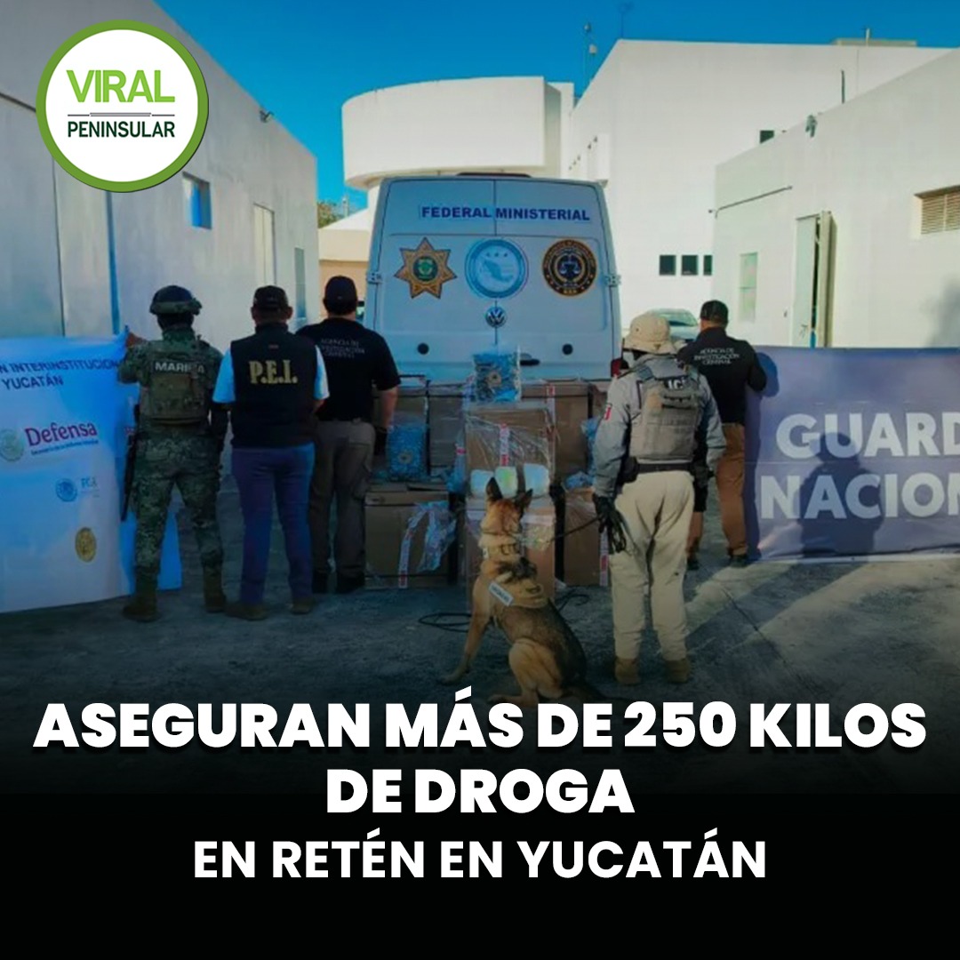 Aseguran más de 250 kilos de droga en retén en Yucatán
