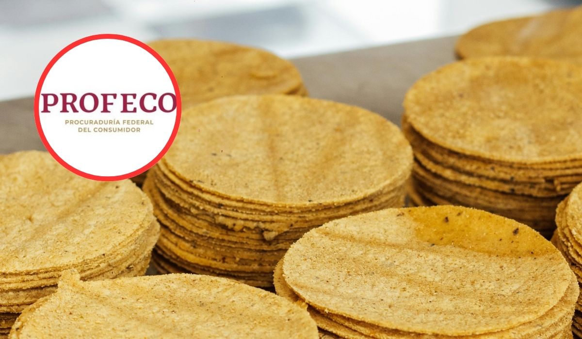 ¿Por qué Profeco multará a quienes vendan tortillas en hieleras?