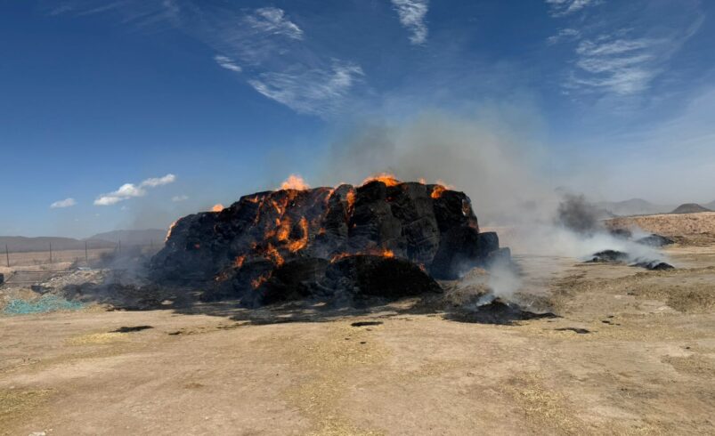 Caída de árboles, incendios y suspensión de energía causan los fuertes vientos en Lerdo