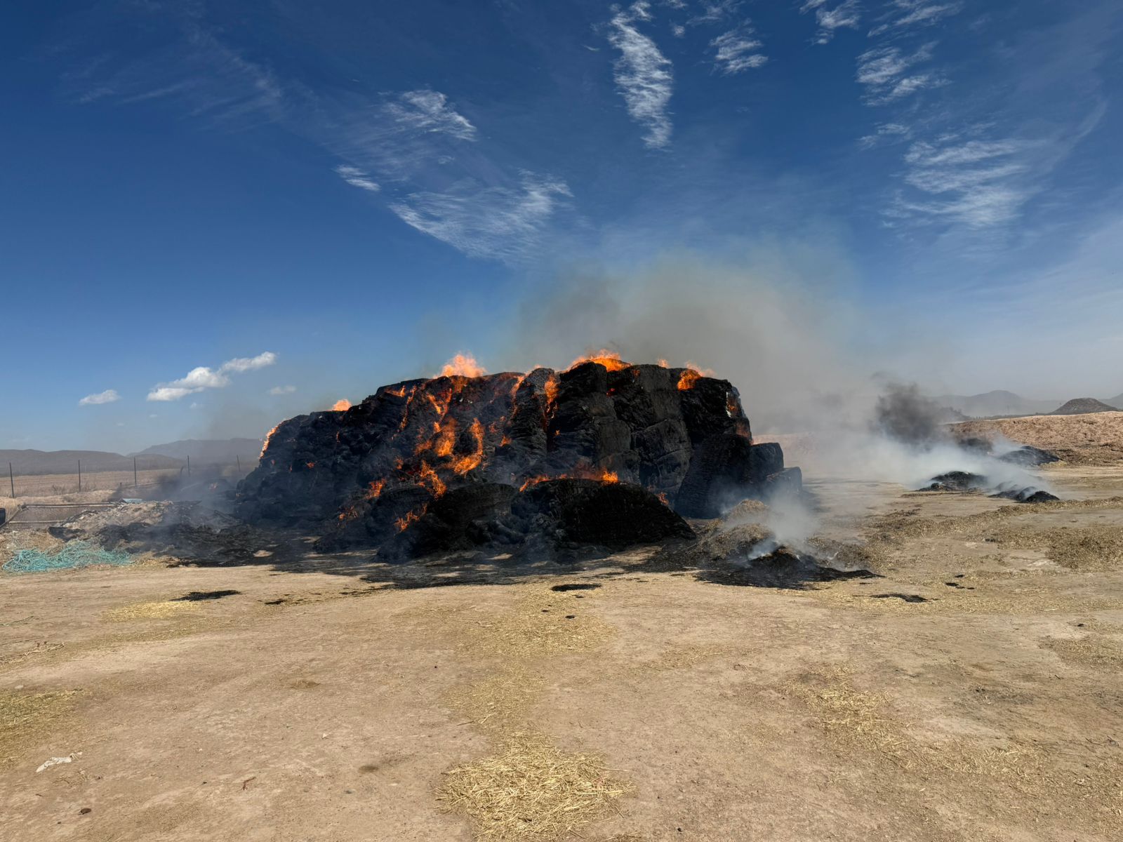 Caída de árboles, incendios y suspensión de energía causan los fuertes vientos en Lerdo