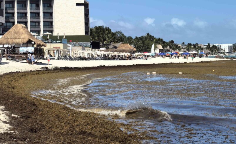 Playas de México reciben la Semana Santa entre sargazo y derrames