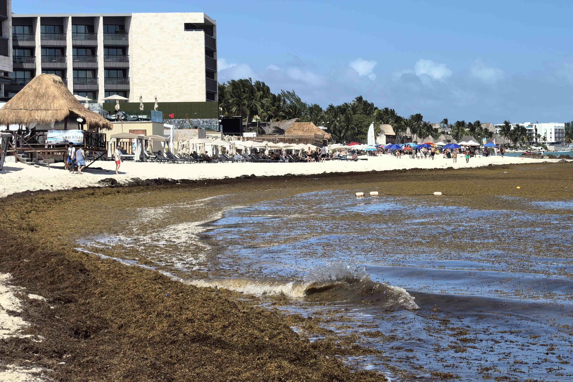 Playas de México reciben la Semana Santa entre sargazo y derrames