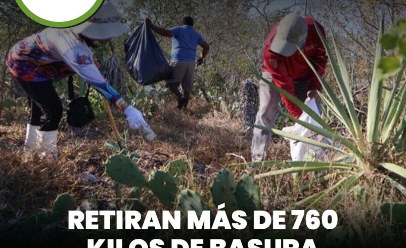 Retiran más de 760 kilos de basura en limpieza conjunta en Celestún