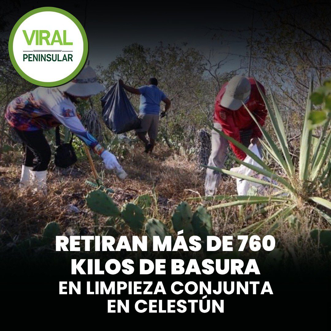 Retiran más de 760 kilos de basura en limpieza conjunta en Celestún
