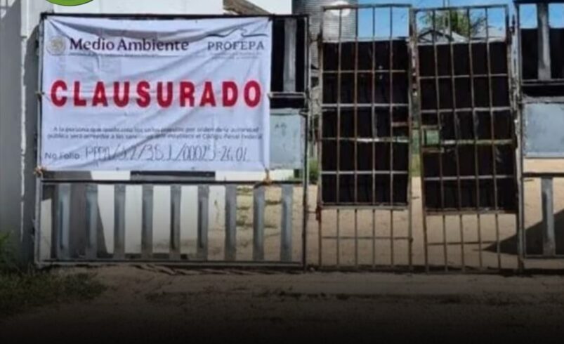 Clausuran granja porcícola en Chocholá