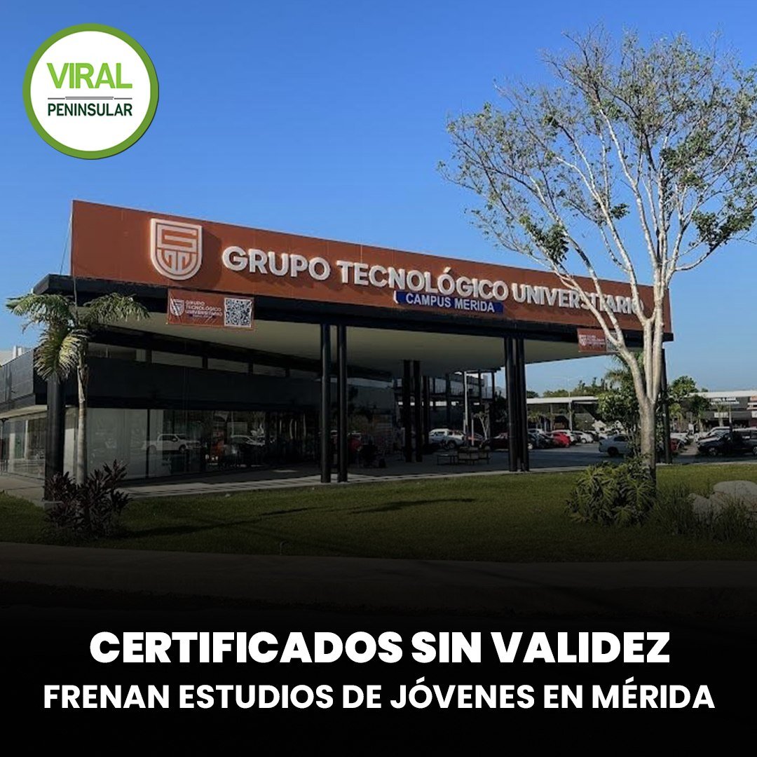Certificados sin validez frenan estudios de jóvenes en Mérida