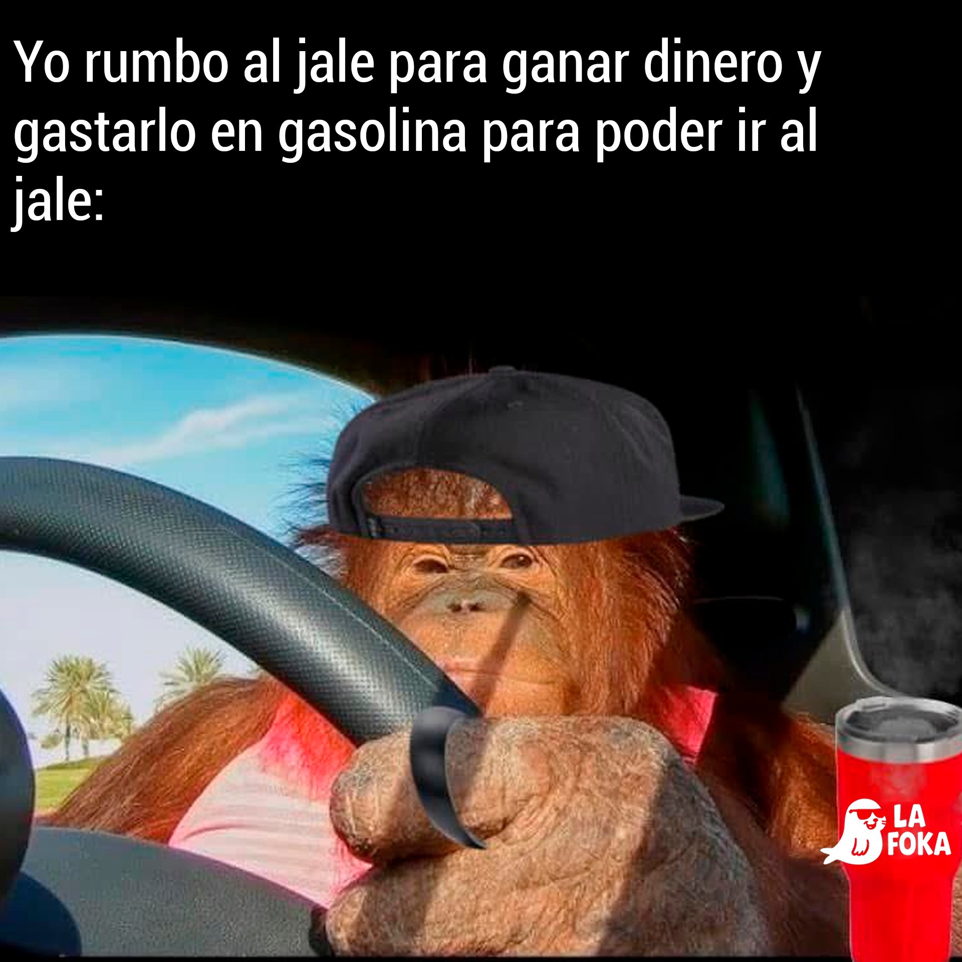 Meter vehículos a playas de Yucatán puede salir muy caro
