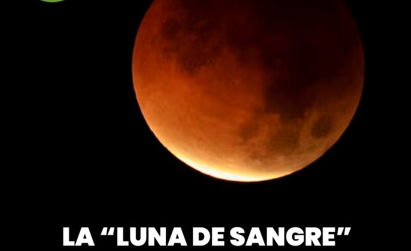 La “Luna de sangre” iluminó la madrugada