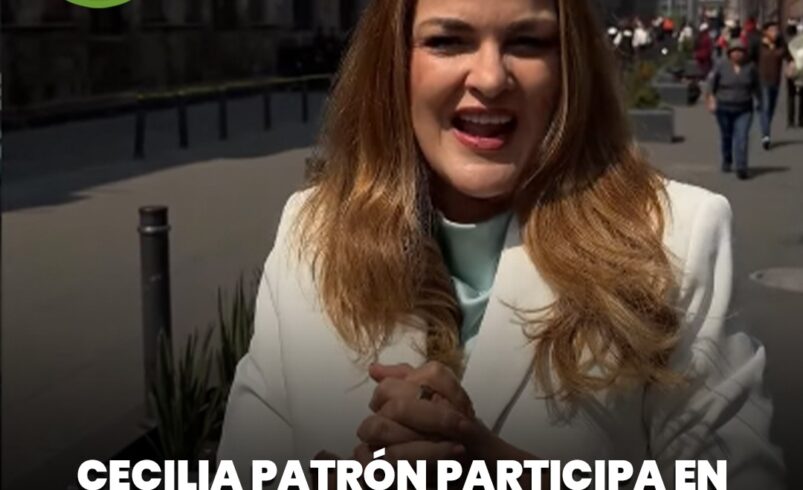 Cecilia Patrón participa en reunión nacional de seguridad con Claudia Sheinbaum