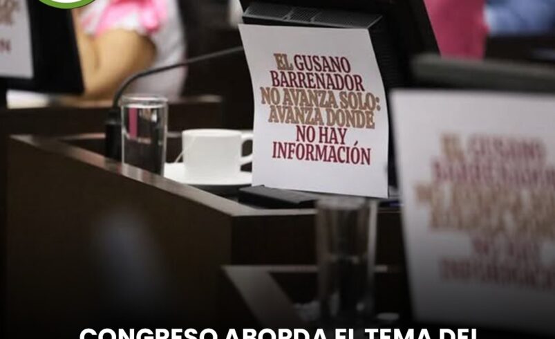 Congreso aborda el tema del gusano barrenador en Yucatán