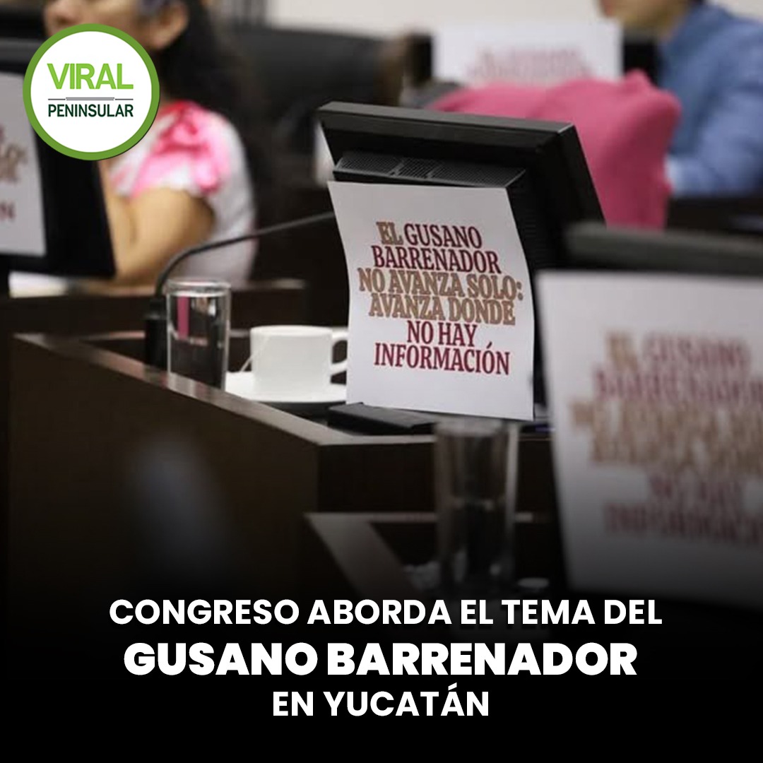 Congreso aborda el tema del gusano barrenador en Yucatán