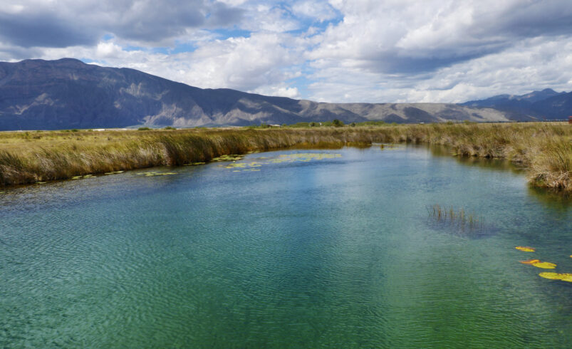 Reabren en Cuatro Ciénegas el Río Mezquites