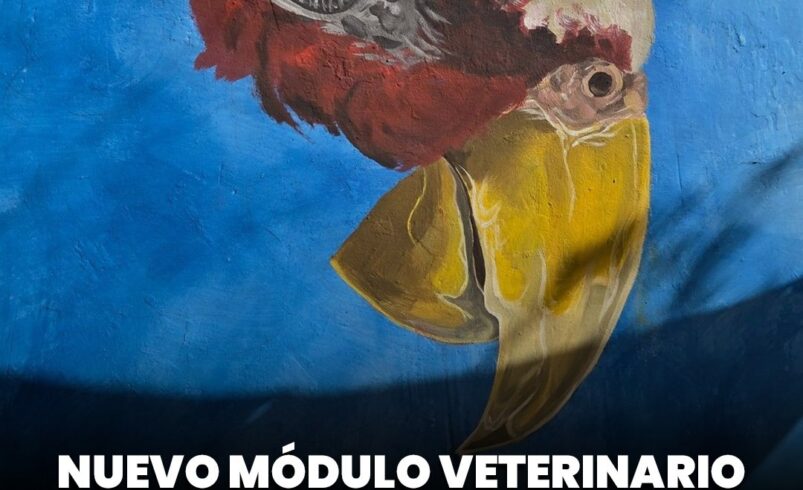 Nuevo módulo veterinario en Mérida suma mural ambiental en el sur