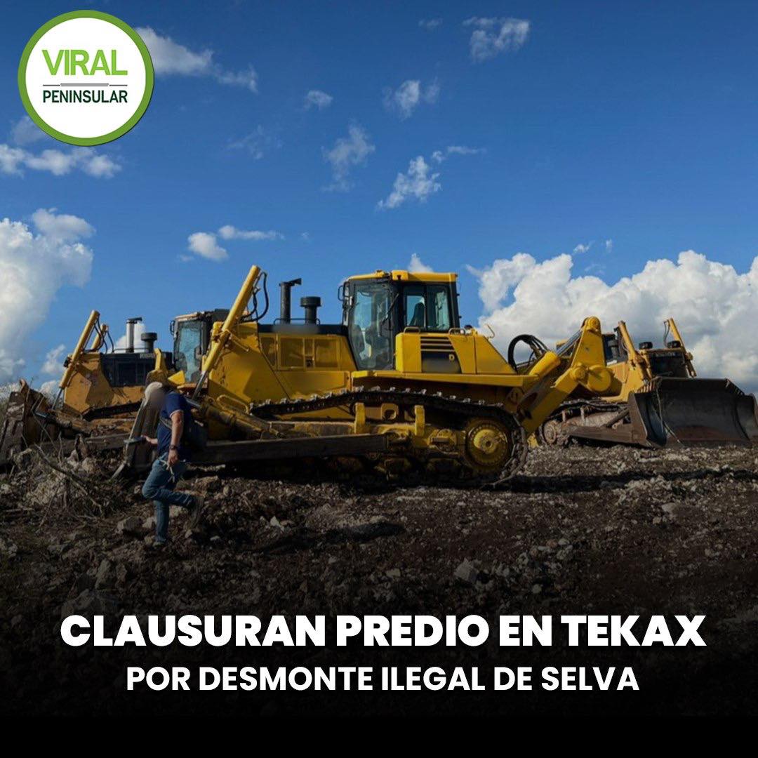 Clausuran predio en Tekax por desmonte ilegal de selva