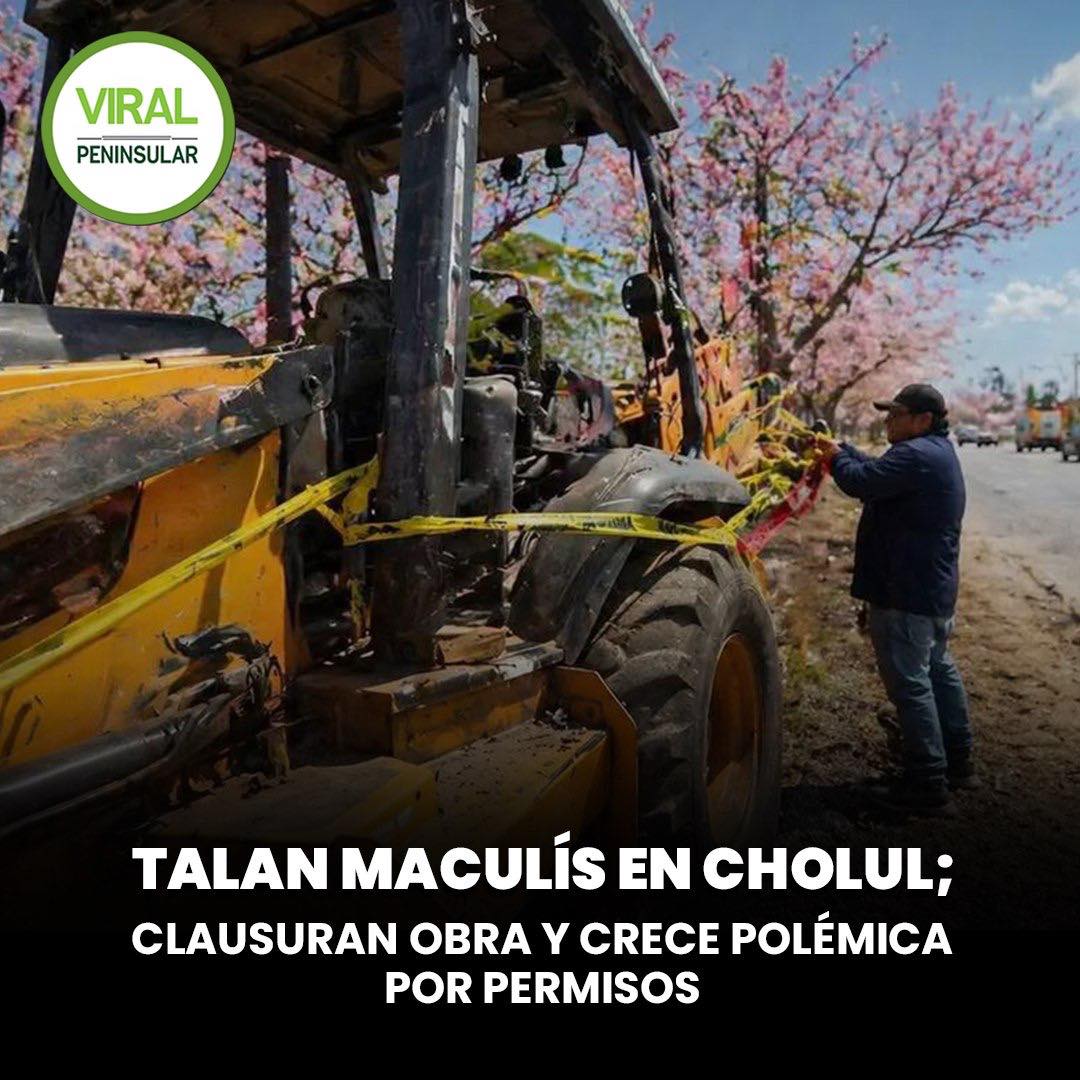 Talan maculís en Cholul; clausuran obra y crece polémica por permisos