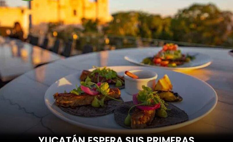 Yucatán espera sus primeras estrellas Michelin en 2026