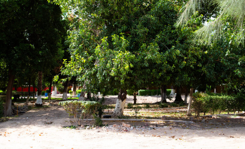 Obras del Parque Morelos en Gómez Palacio registran avance del 15 por ciento