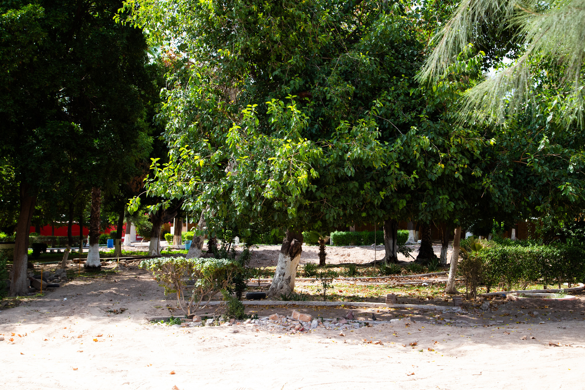 Obras del Parque Morelos en Gómez Palacio registran avance del 15 por ciento