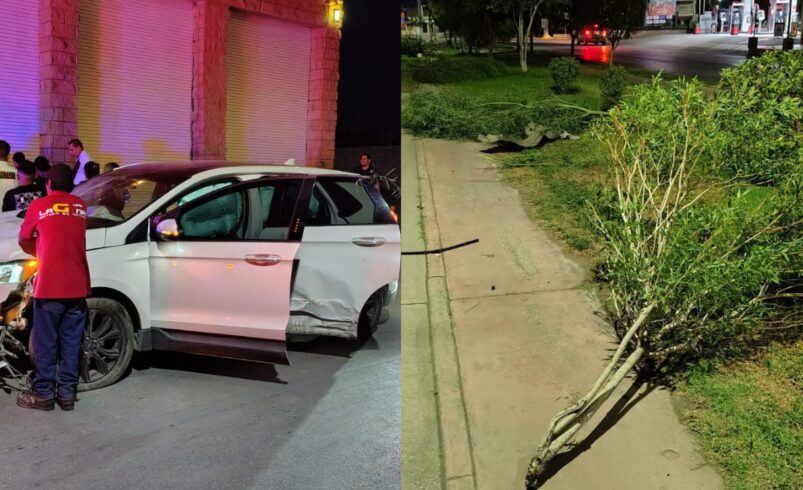 Joven ebrio derriba cuatro árboles del bulevar Constitución; camioneta queda destrozada